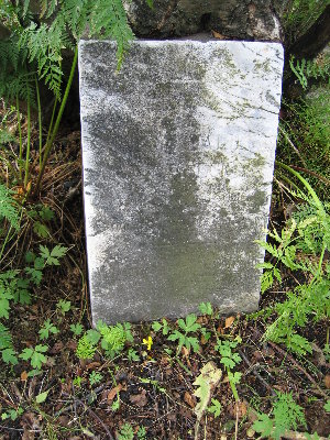 Nina Marie Rønnbeck
<br />25.08.1865-12.09.1872